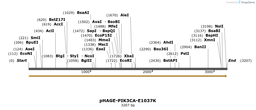 219341_map