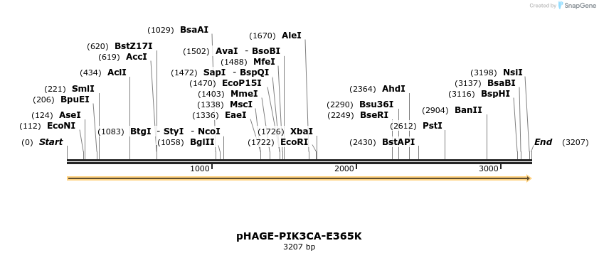 219344_map