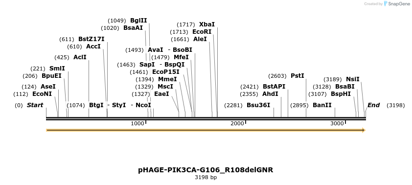 219366_map