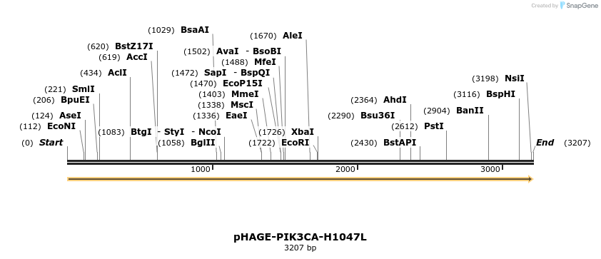 219373_map