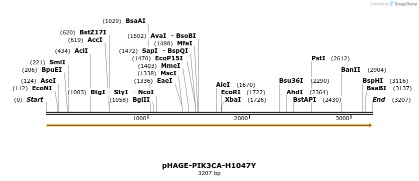 219375_map