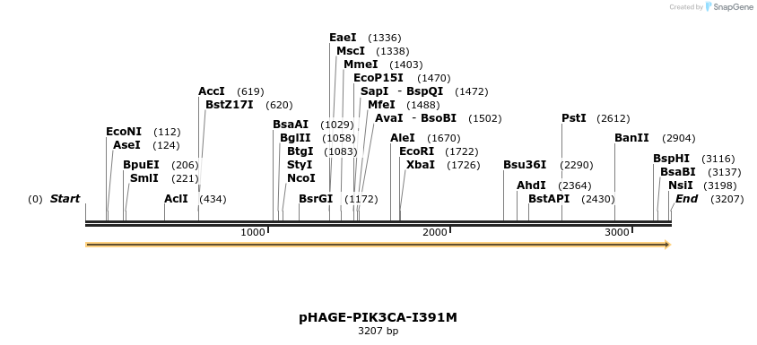 219377_map