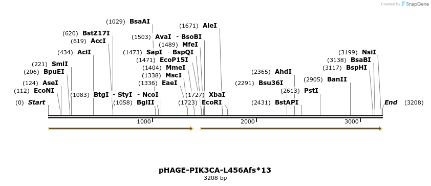 219382_map