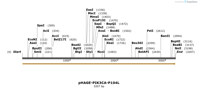 219393_map