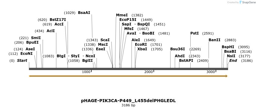 219395_map