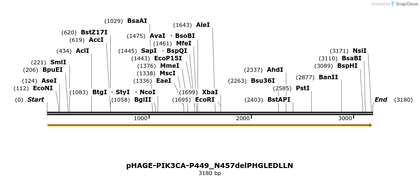 219396_map