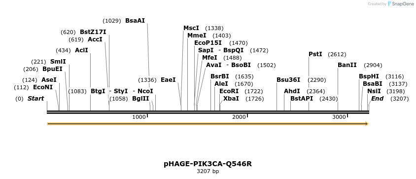 219404_map