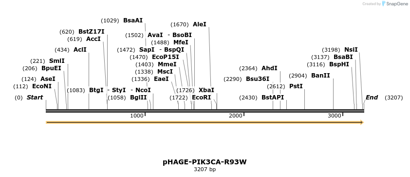 219414_map
