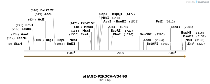 219422_map