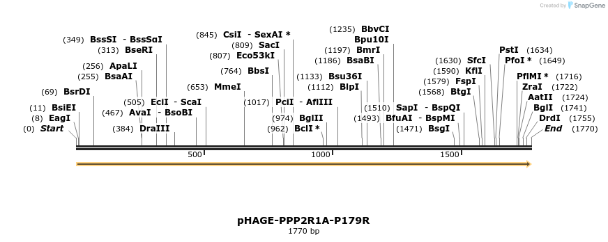 219483_map