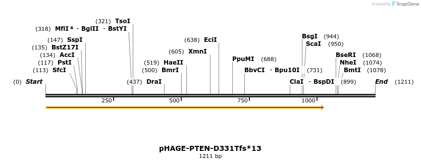 219495_map