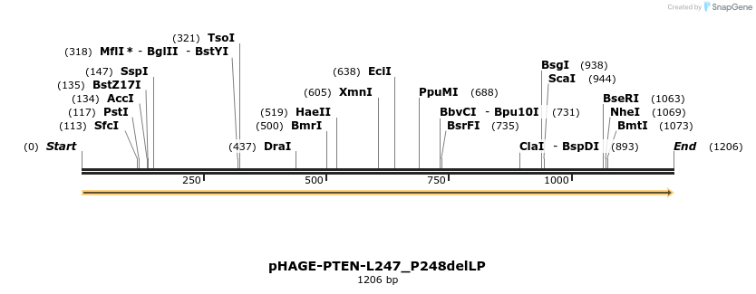 219499_map