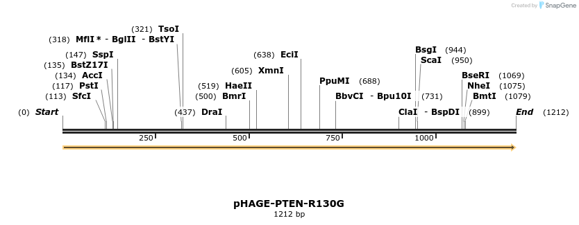 219505_map