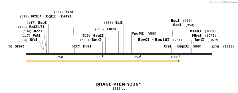 219513_map