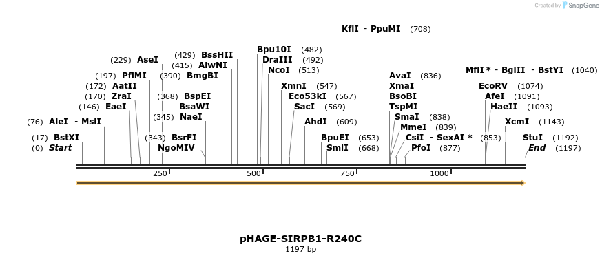 219555_map