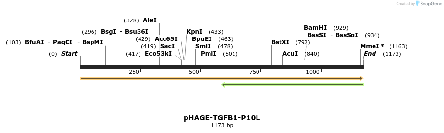 219571_map