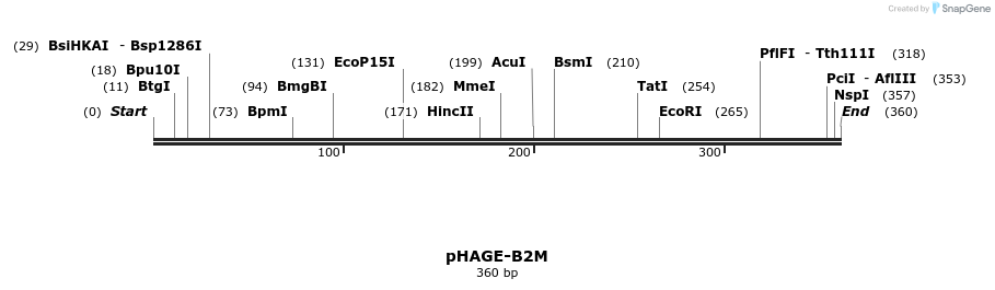 219590_map