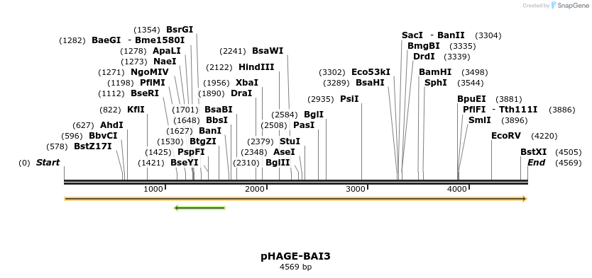 219591_map