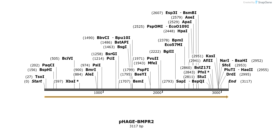 219593_map