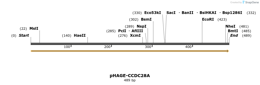 219595_map