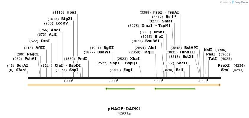219602_map