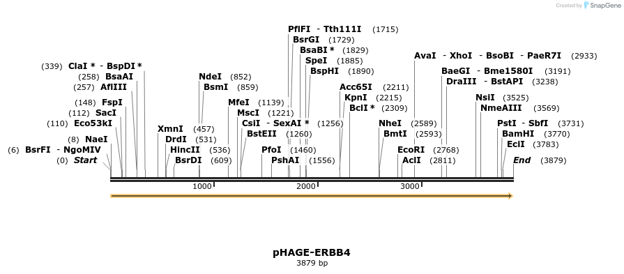 219611_map