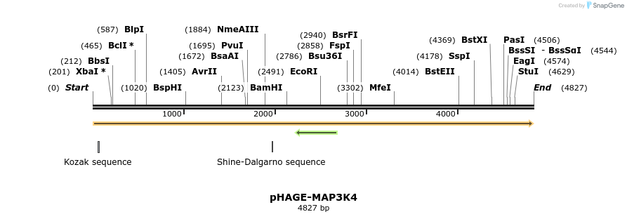 219634_map