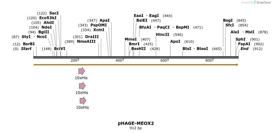 219636_map