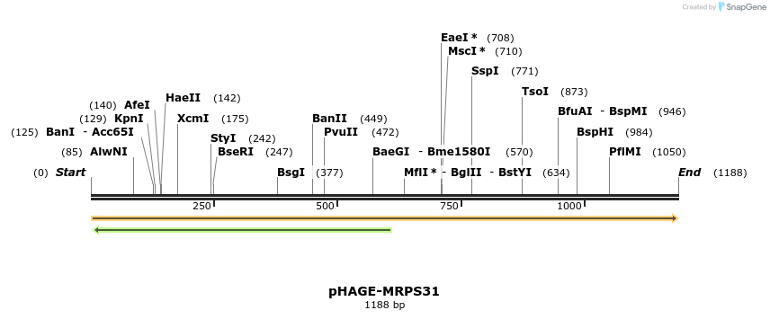 219639_map