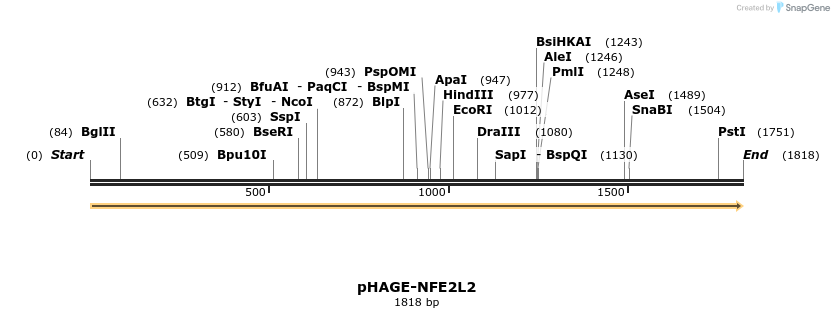 219640_map