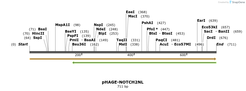 219641_map