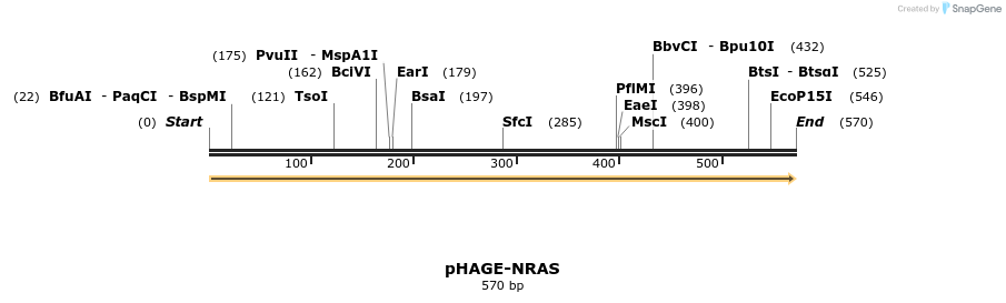 219642_map