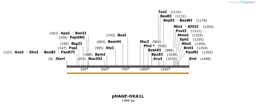 219644_map