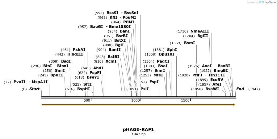219661_map
