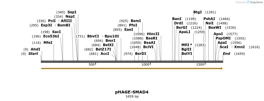 219667_map