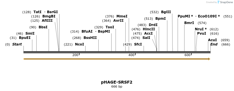219669_map