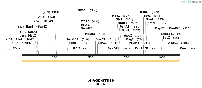 219671_map