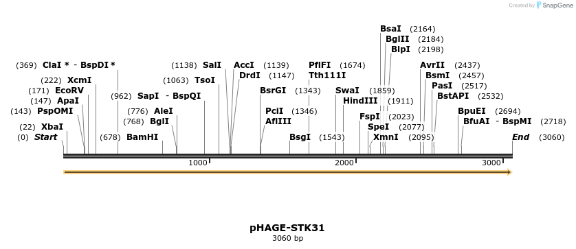 219672_map