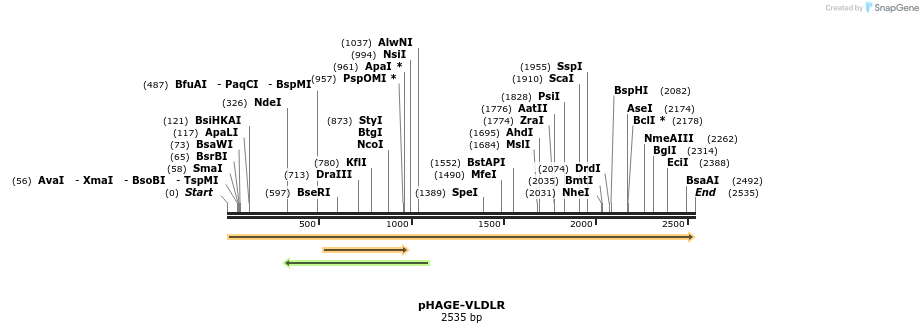 219678_map