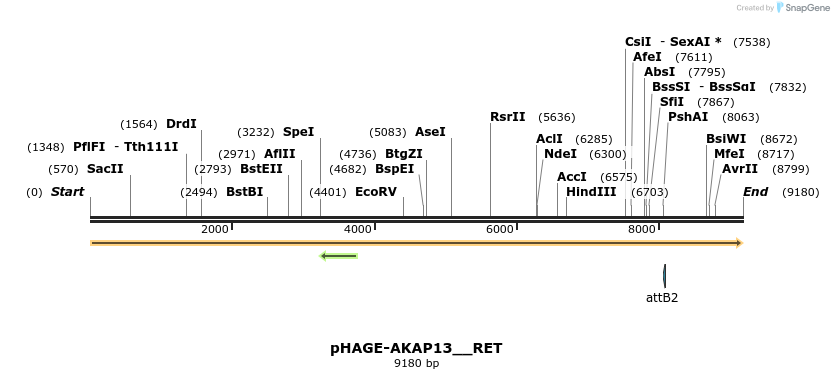 219682_map