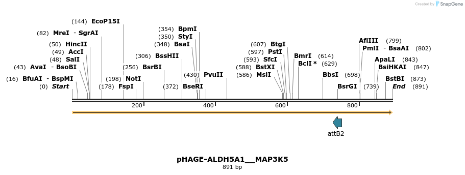 219683_map