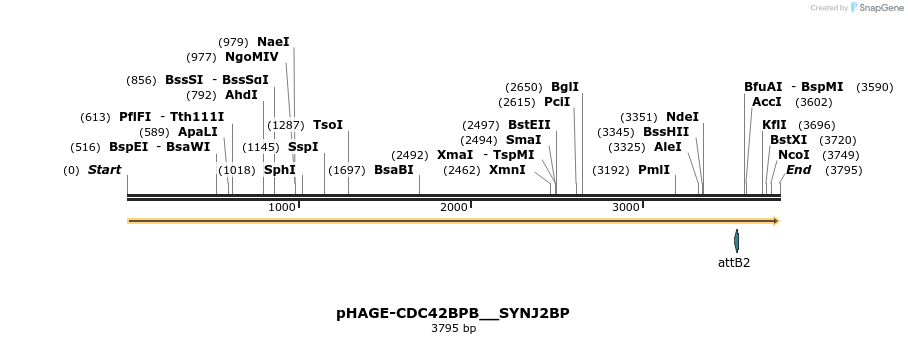 219687_map