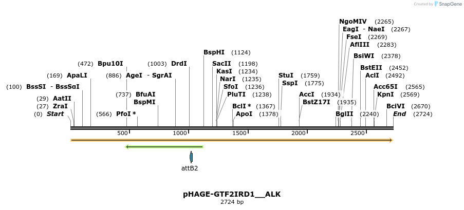 219697_map