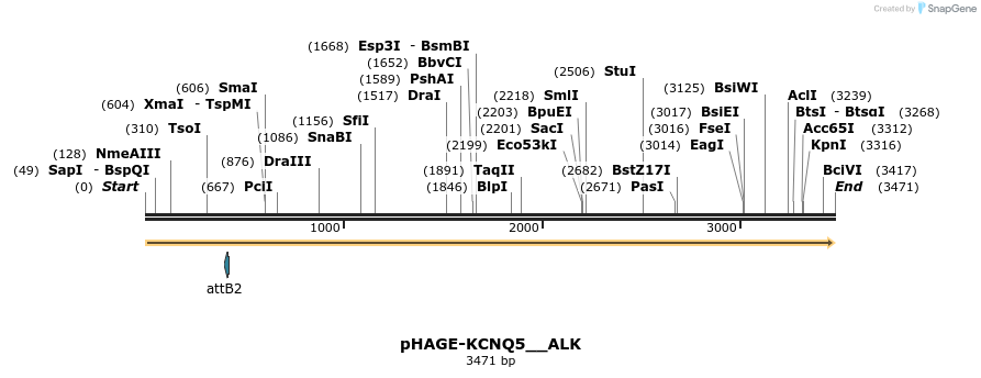 219701_map
