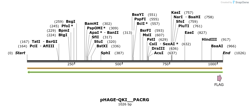 219711_map
