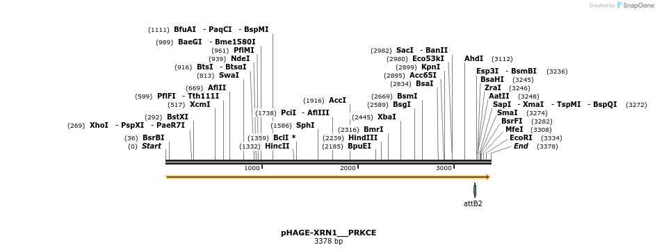 219722_map