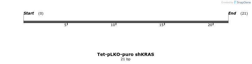 219828_map