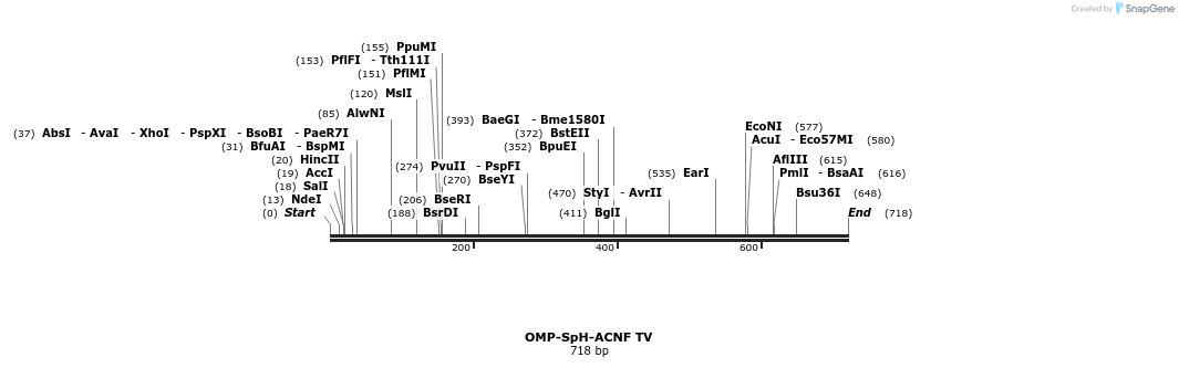 21984_map