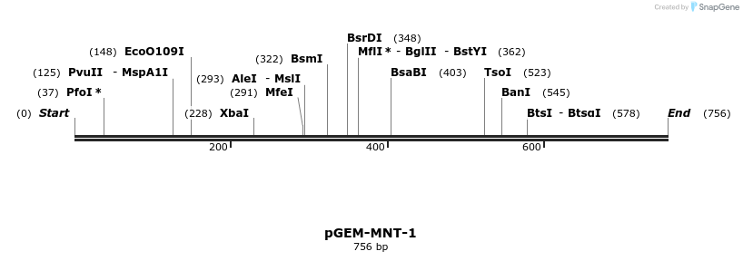 21989_map
