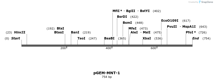 21990_map